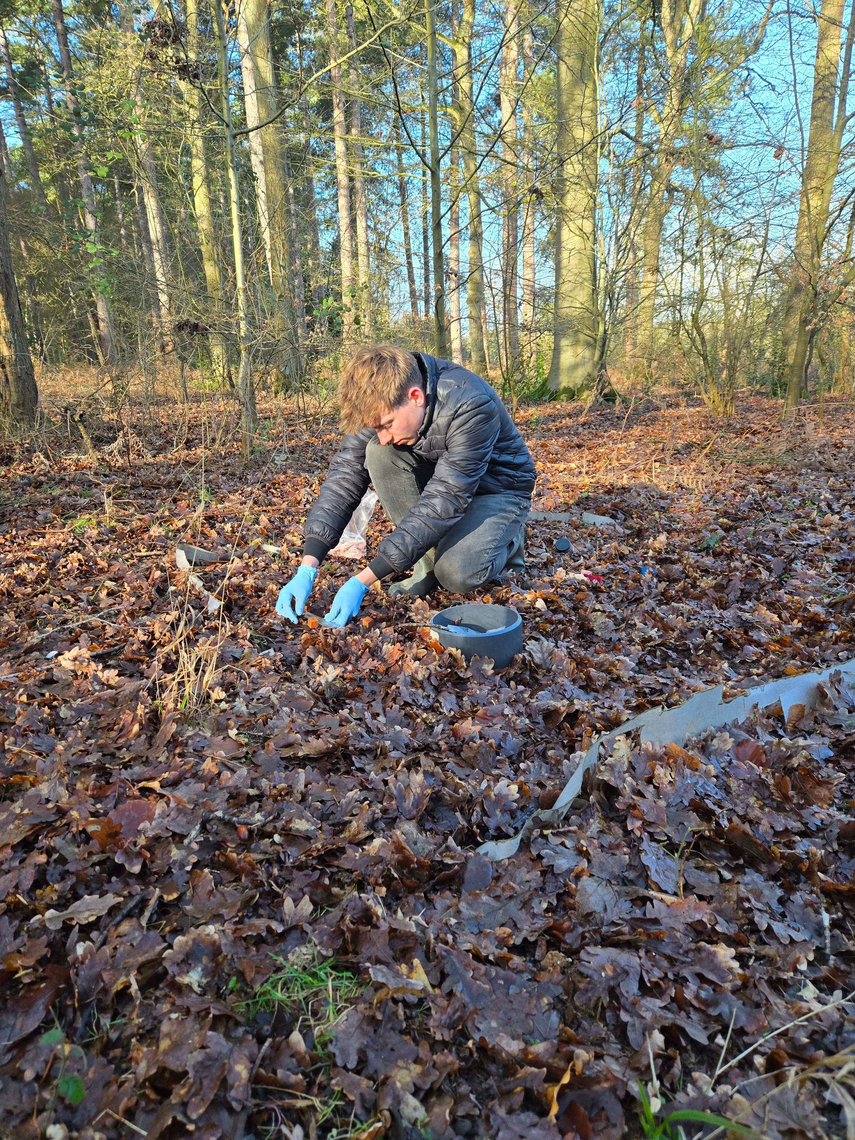 Long-Term Decomposition Experiments