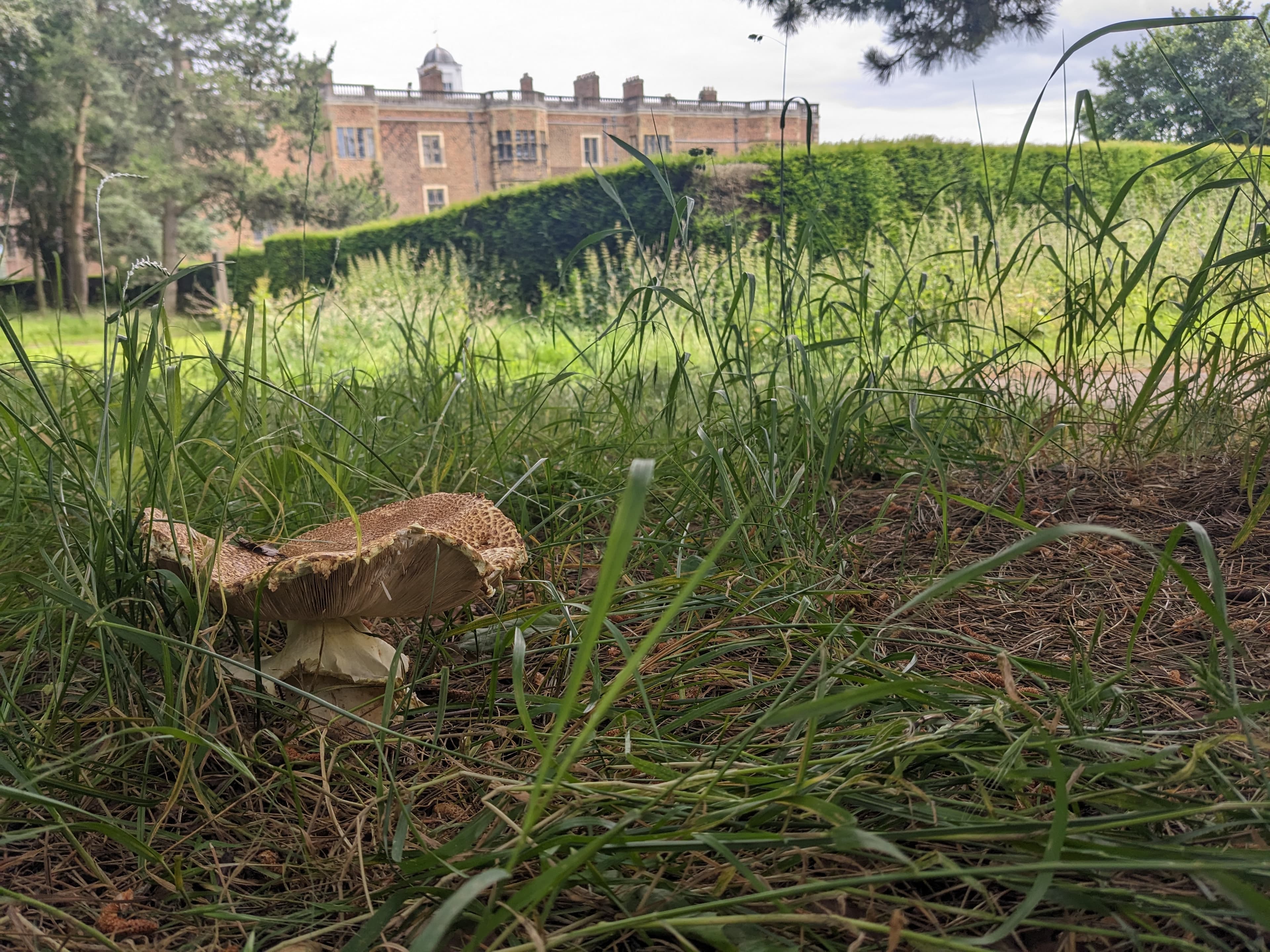 Jonathan Whiteley in the field